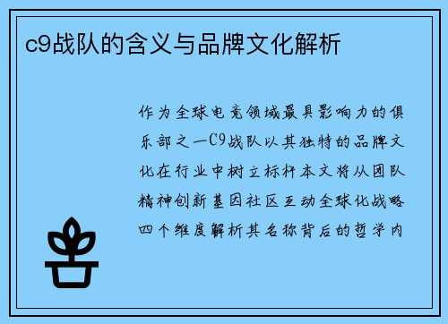 c9战队的含义与品牌文化解析